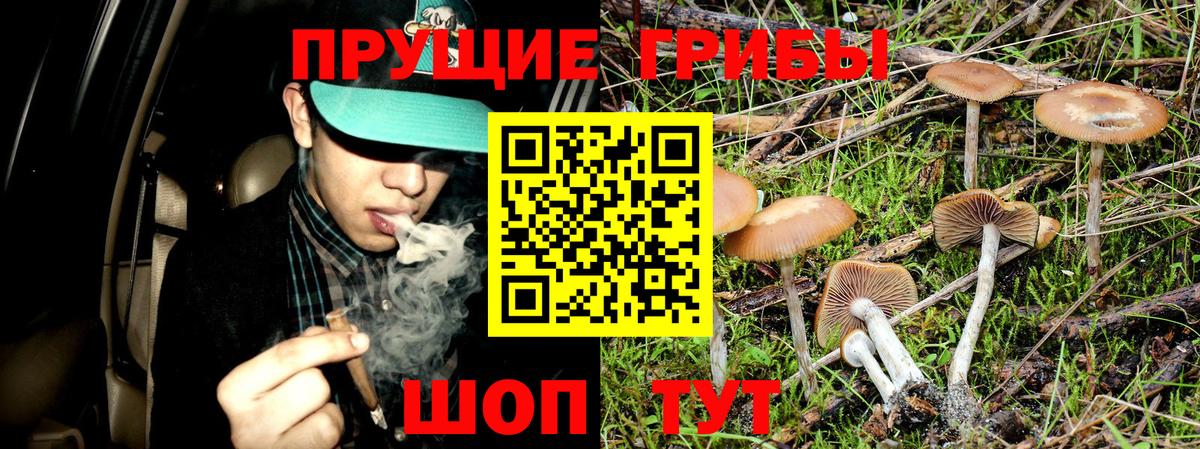 продажа наркотиков  Галлюциногенные грибы ЛСД  Вход с VPN  Заводоуковск  Псилоцибиновые грибы мухоморы 