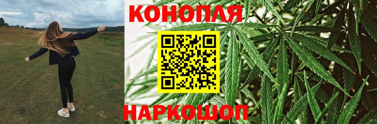 Конопля конопля Заводоуковск